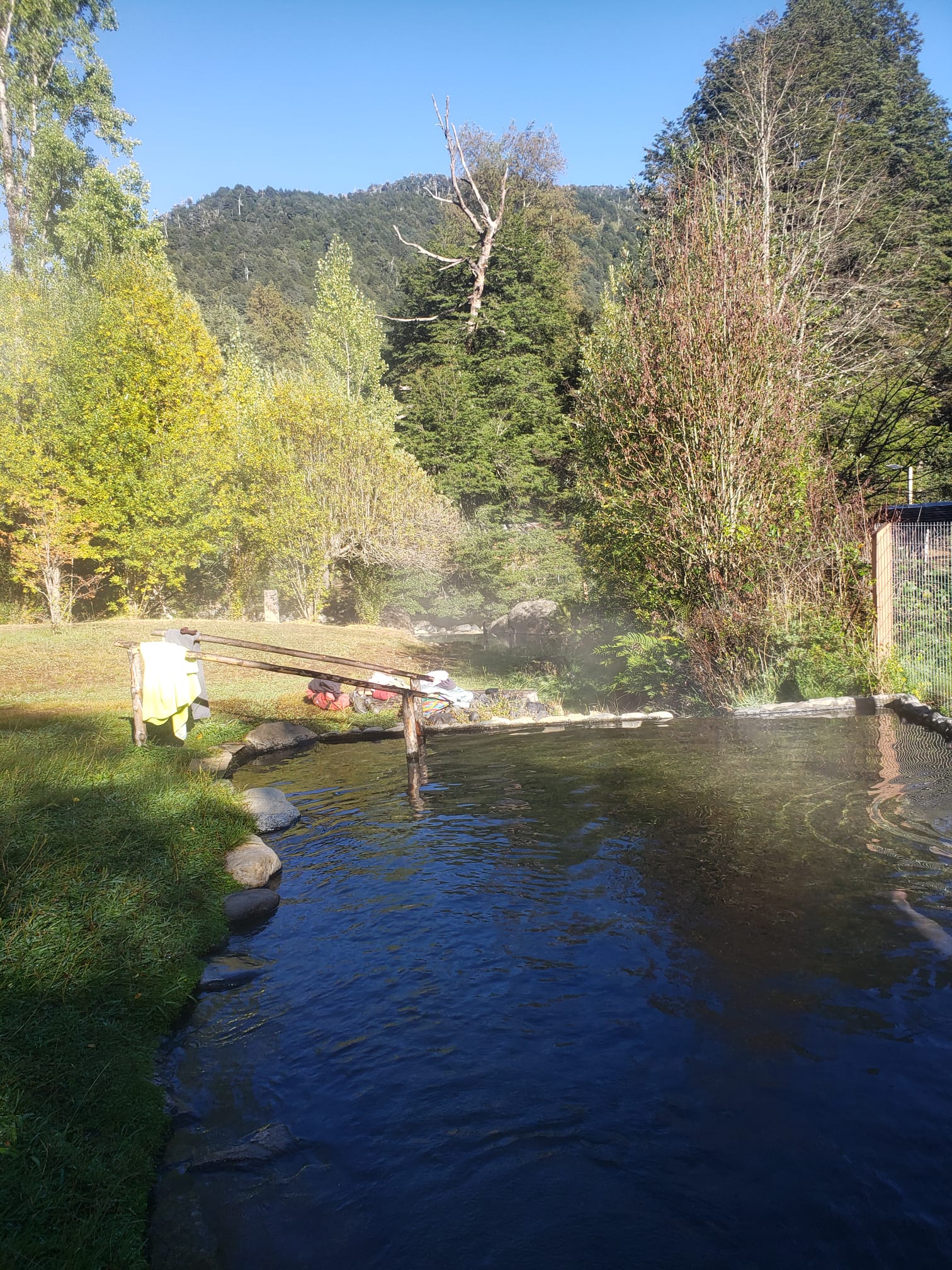 4-daagse paardrijtocht in Nationaal Park Villarrica - Chili - Afbeelding 36