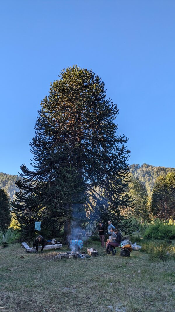 4-daagse paardrijtocht in Huerquehue National Park - Chili