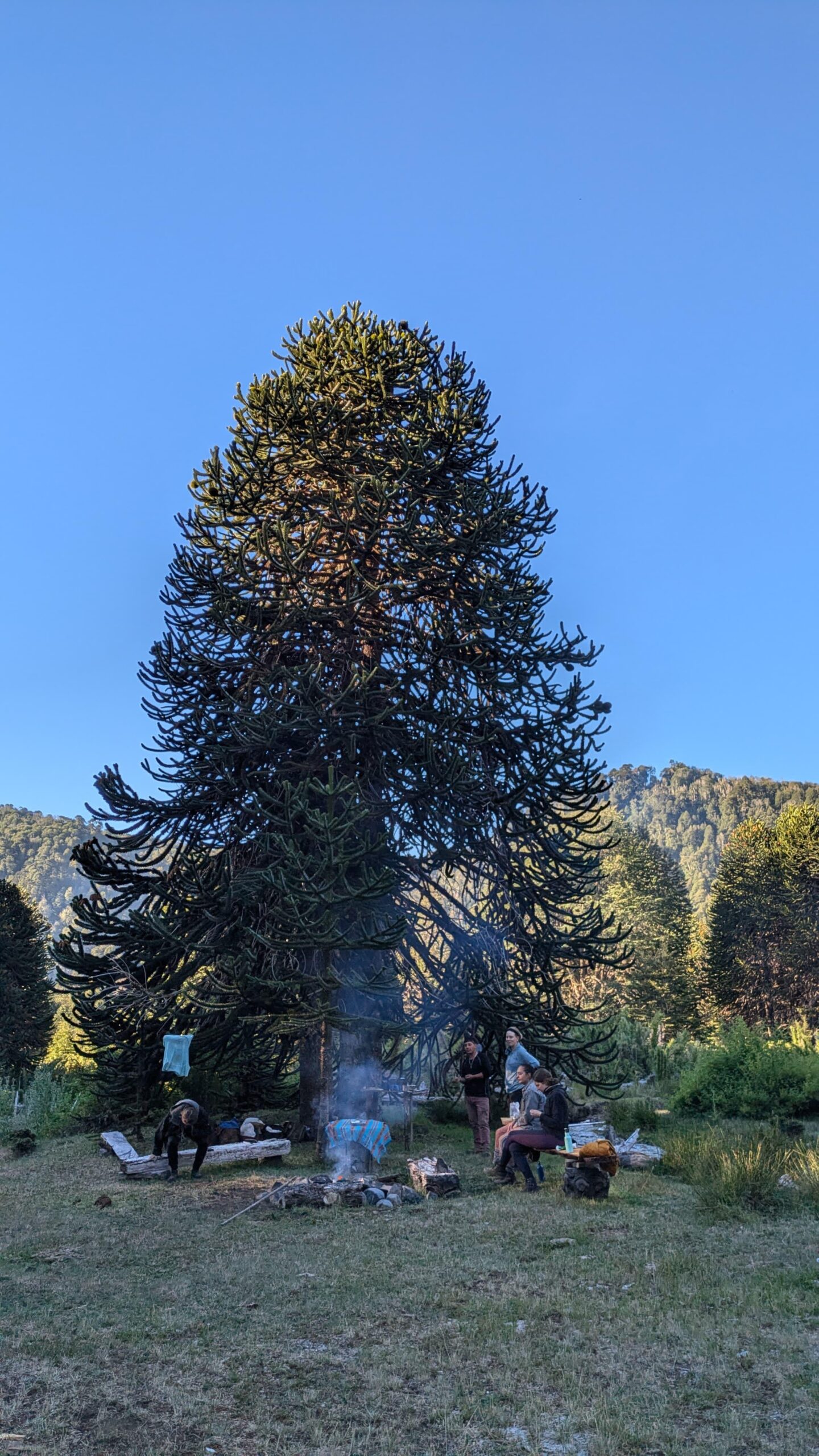 4-daagse paardrijtocht in Huerquehue National Park - Chili - Afbeelding 31