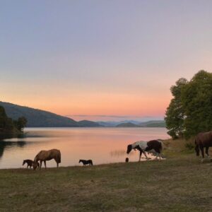 9-, 10- of 11-daagse paardrijtocht: De Andes oversteken - Chili naar Argentinië - Afbeelding 27