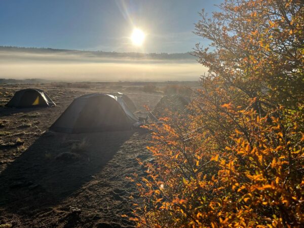 4-daagse paardrijtocht in Nationaal Park Villarrica - Chili