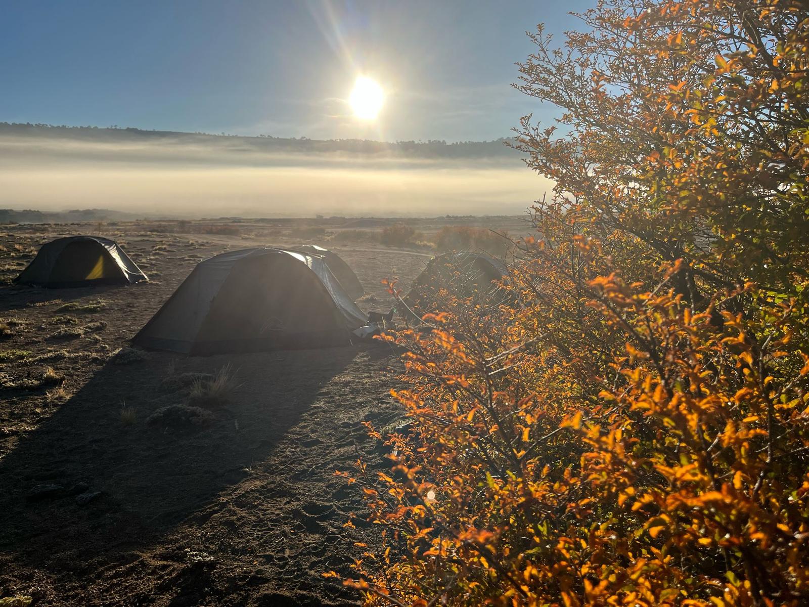 4-daagse paardrijtocht in Nationaal Park Villarrica - Chili - Afbeelding 31