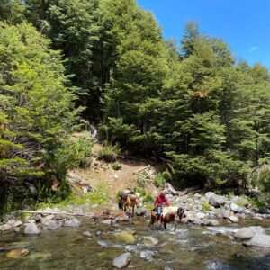 4-daagse paardrijtocht in Nationaal Park Villarrica - Chili - Afbeelding 30