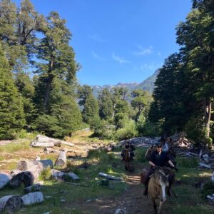 4-daagse paardrijtocht in Huerquehue National Park - Chili - Afbeelding 27