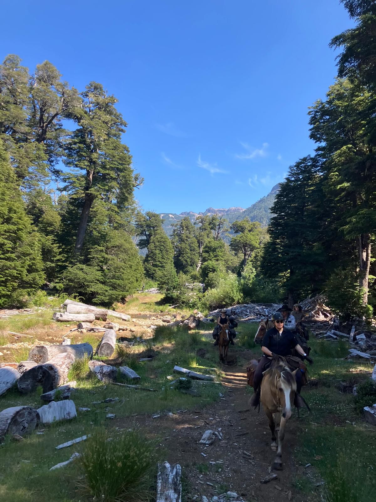 4-daagse paardrijtocht in Huerquehue National Park - Chili - Afbeelding 27