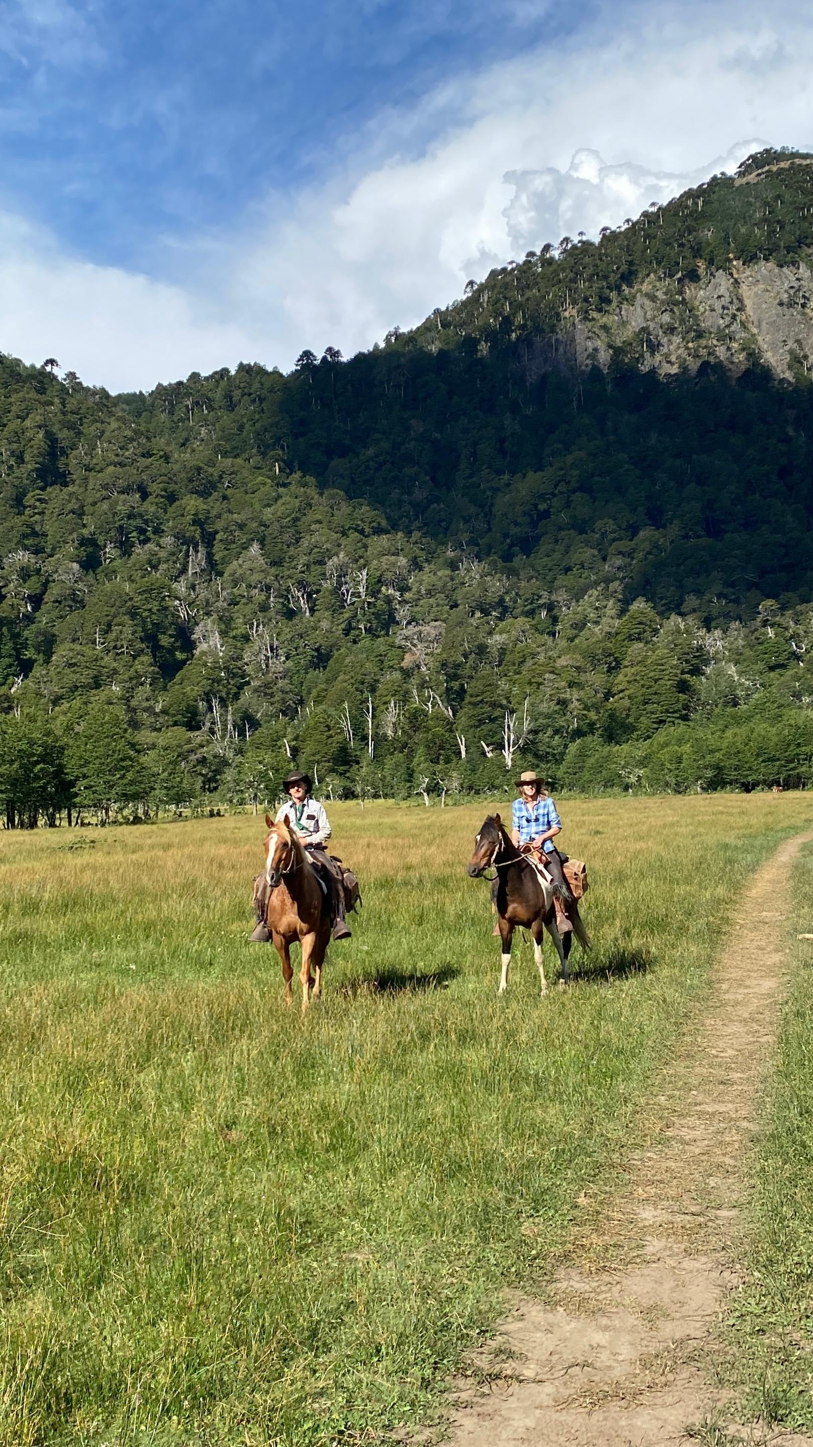 4-daagse paardrijtocht in Nationaal Park Villarrica - Chili - Afbeelding 29
