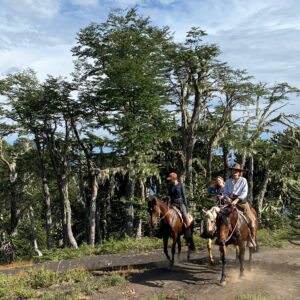 8-daagse paardrijtocht door Villarrica en Huerquehue National Park - Chili - Afbeelding 36