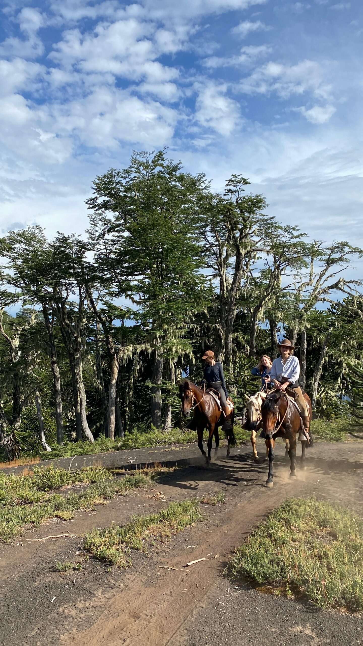 8-daagse paardrijtocht door Villarrica en Huerquehue National Park - Chili - Afbeelding 36