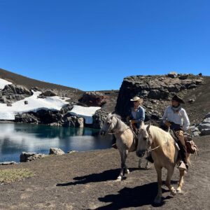 4-daagse paardrijtocht in Nationaal Park Villarrica - Chili - Afbeelding 28
