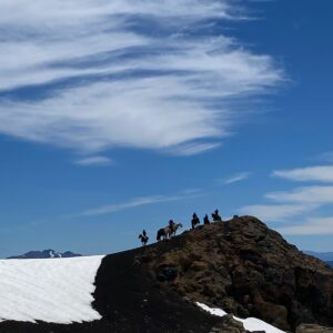 9-, 10- of 11-daagse paardrijtocht: De Andes oversteken - Chili naar Argentinië - Afbeelding 22