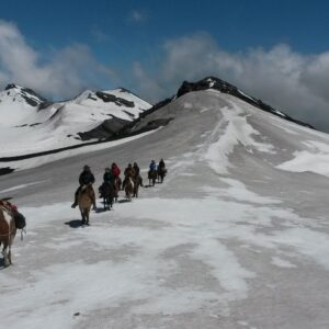 4-daagse paardrijtocht in Nationaal Park Villarrica - Chili - Afbeelding 15