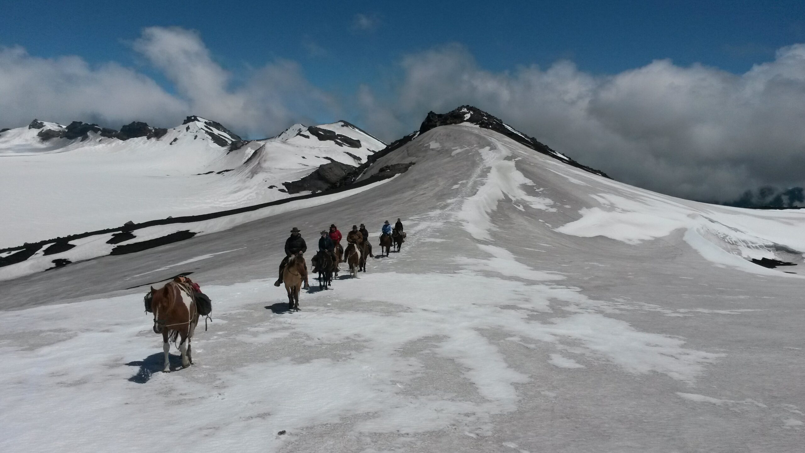 4-daagse paardrijtocht in Nationaal Park Villarrica - Chili - Afbeelding 15
