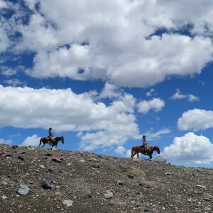 8-daagse paardrijtocht door Villarrica en Huerquehue National Park - Chili - Afbeelding 35