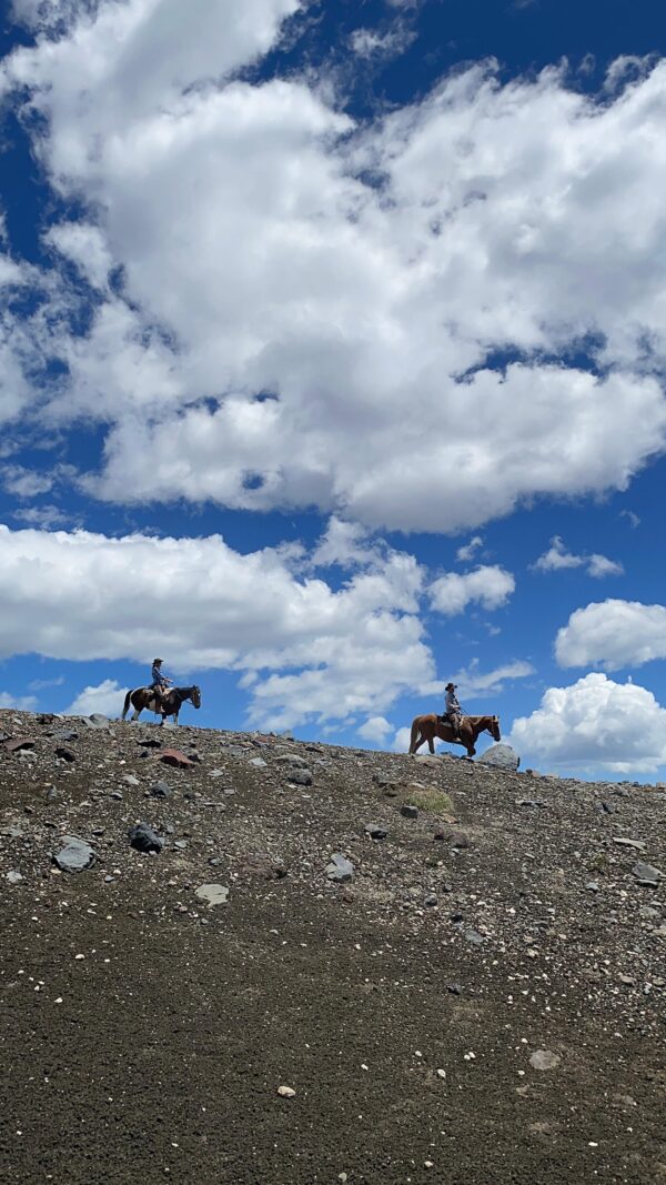 8-daagse paardrijtocht door Villarrica en Huerquehue National Park - Chili