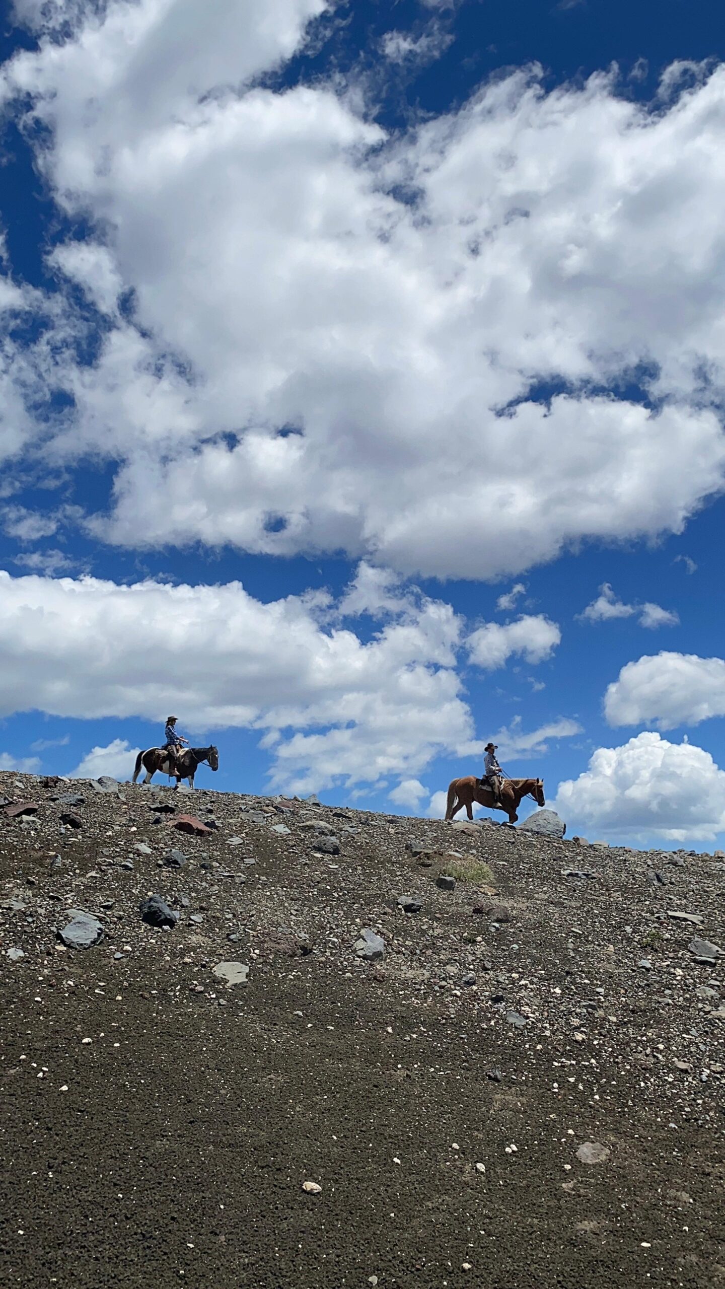 8-daagse paardrijtocht door Villarrica en Huerquehue National Park - Chili - Afbeelding 35