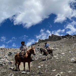 9-, 10- of 11-daagse paardrijtocht: De Andes oversteken - Chili naar Argentinië - Afbeelding 21