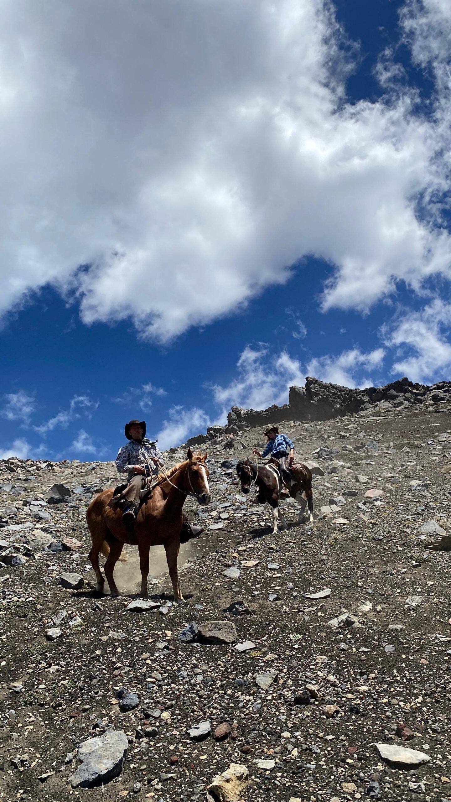 9-, 10- of 11-daagse paardrijtocht: De Andes oversteken - Chili naar Argentinië - Afbeelding 21