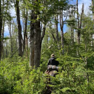 4-daagse paardrijtocht in Huerquehue National Park - Chili - Afbeelding 25