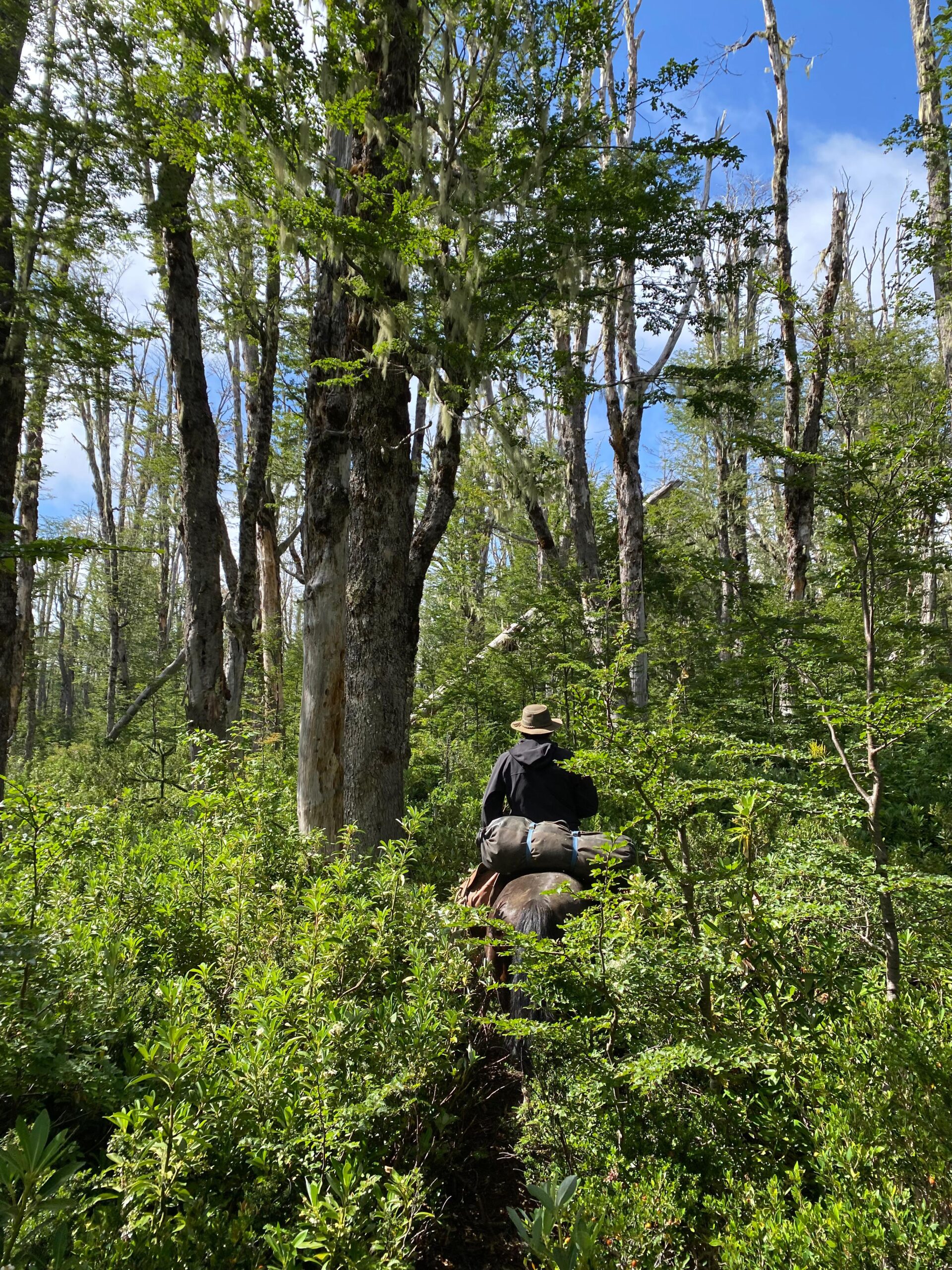 4-daagse paardrijtocht in Huerquehue National Park - Chili - Afbeelding 25