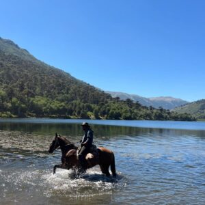 8-daagse paardrijtocht door Villarrica en Huerquehue National Park - Chili - Afbeelding 34
