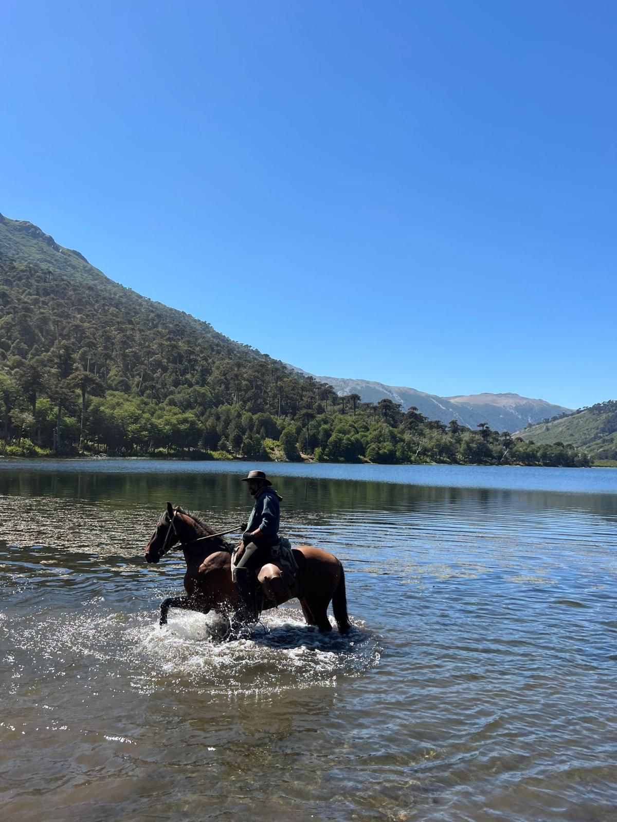 8-daagse paardrijtocht door Villarrica en Huerquehue National Park - Chili
