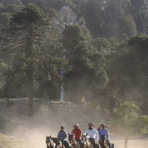 9-, 10- of 11-daagse paardrijtocht: De Andes oversteken - Chili naar Argentinië - Afbeelding 20