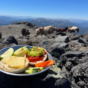 9-, 10- of 11-daagse paardrijtocht: De Andes oversteken - Chili naar Argentinië - Afbeelding 19
