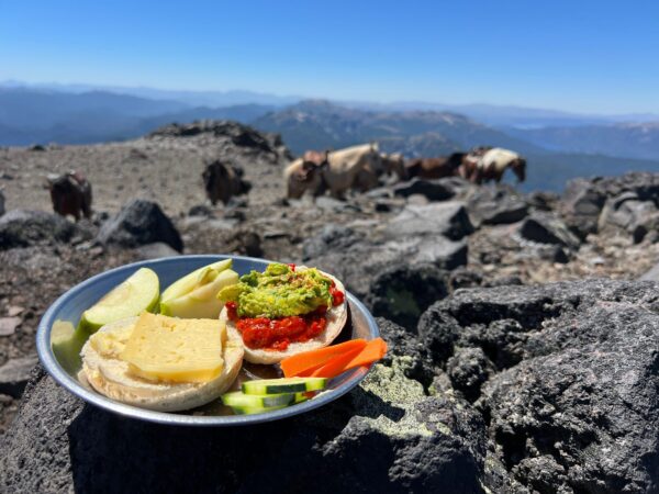 9-, 10- of 11-daagse paardrijtocht: De Andes oversteken - Chili naar Argentinië