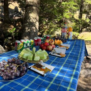 4-daagse paardrijtocht in Nationaal Park Villarrica - Chili - Afbeelding 25