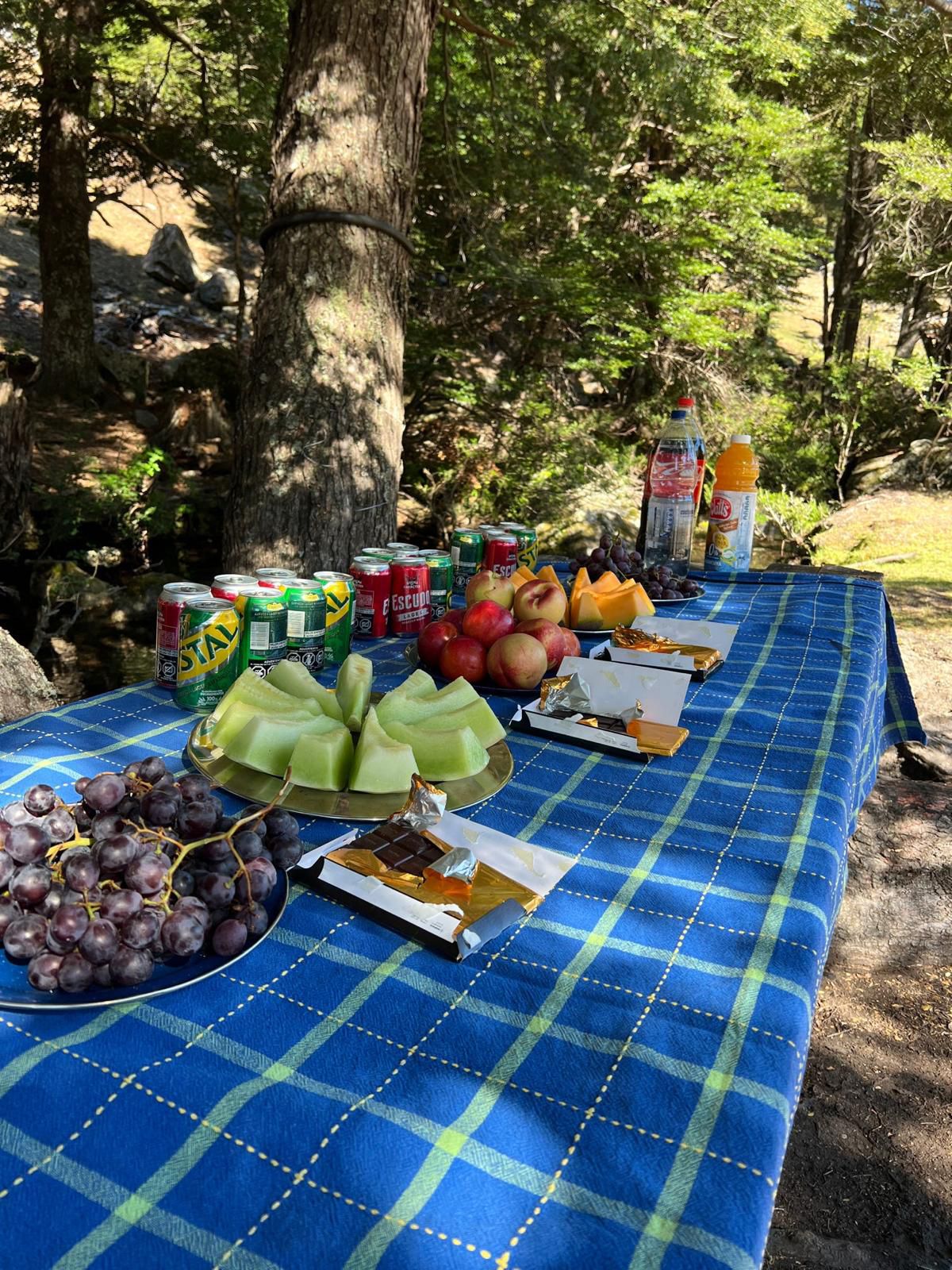 4-daagse paardrijtocht in Nationaal Park Villarrica - Chili - Afbeelding 25