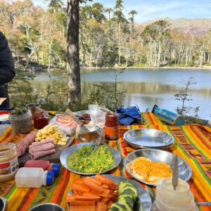 8-daagse paardrijtocht door Villarrica en Huerquehue National Park - Chili - Afbeelding 31