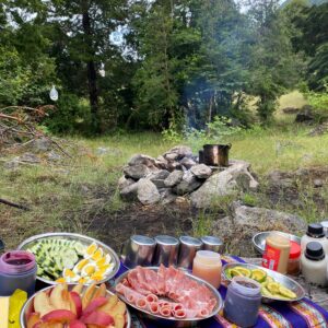 8-daagse paardrijtocht door Villarrica en Huerquehue National Park - Chili - Afbeelding 33