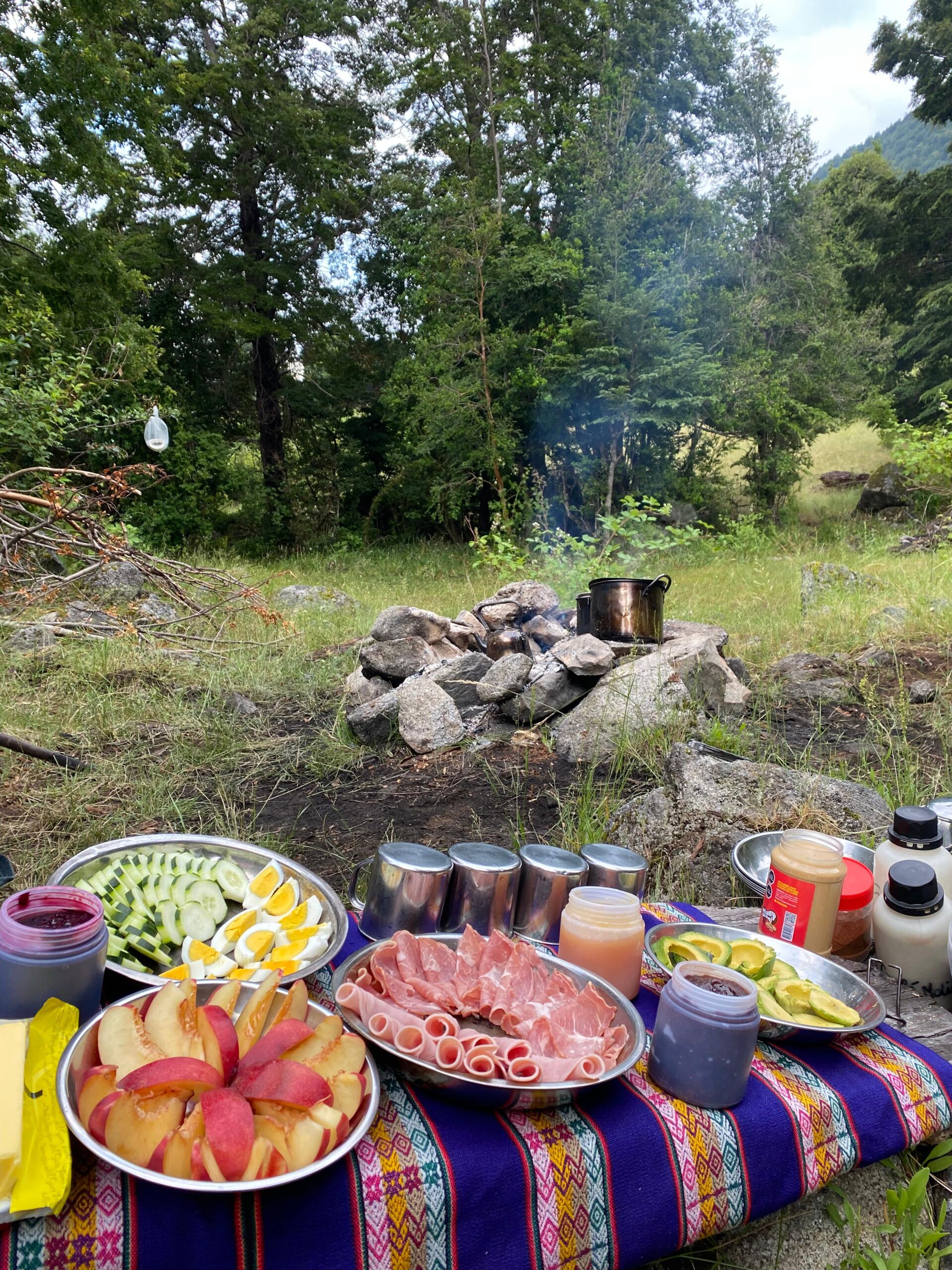 8-daagse paardrijtocht door Villarrica en Huerquehue National Park - Chili - Afbeelding 33
