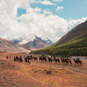 12-daagse Paardrijtocht Altai-gebergte - Mongolië - Afbeelding 5