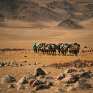 12-daagse Paardrijtocht Altai-gebergte - Mongolië - Afbeelding 7