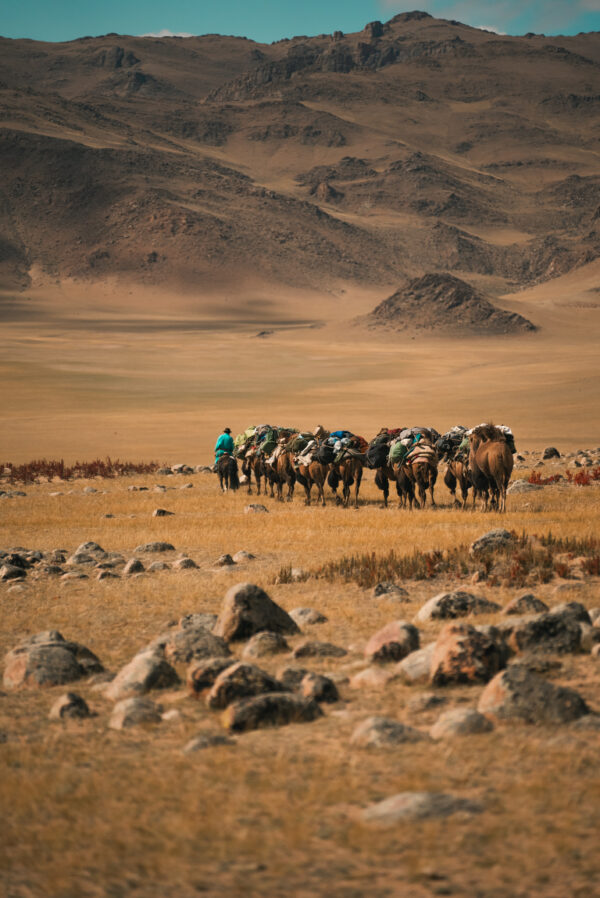 12-daagse Paardrijtocht Altai-gebergte - Mongolië