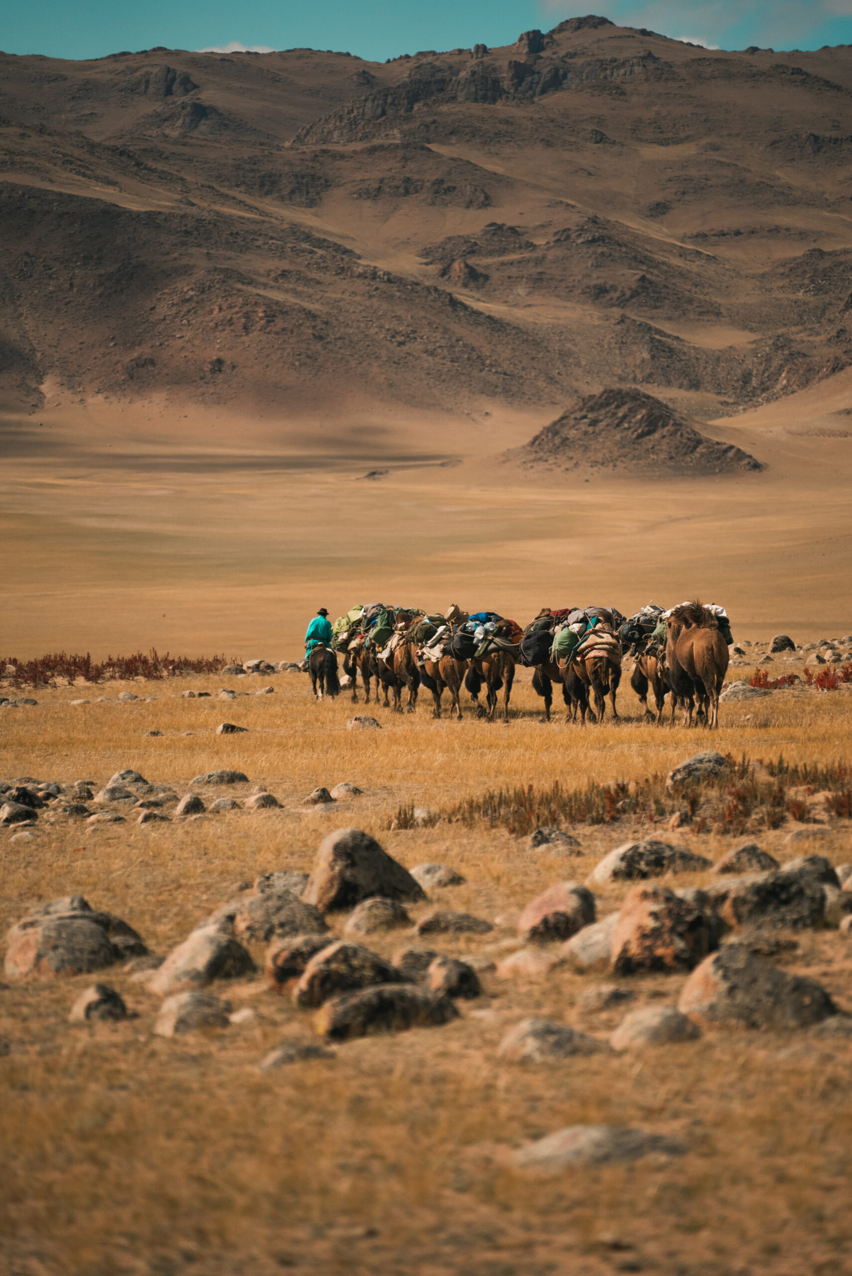 12-daagse Paardrijtocht Altai-gebergte - Mongolië - Afbeelding 7