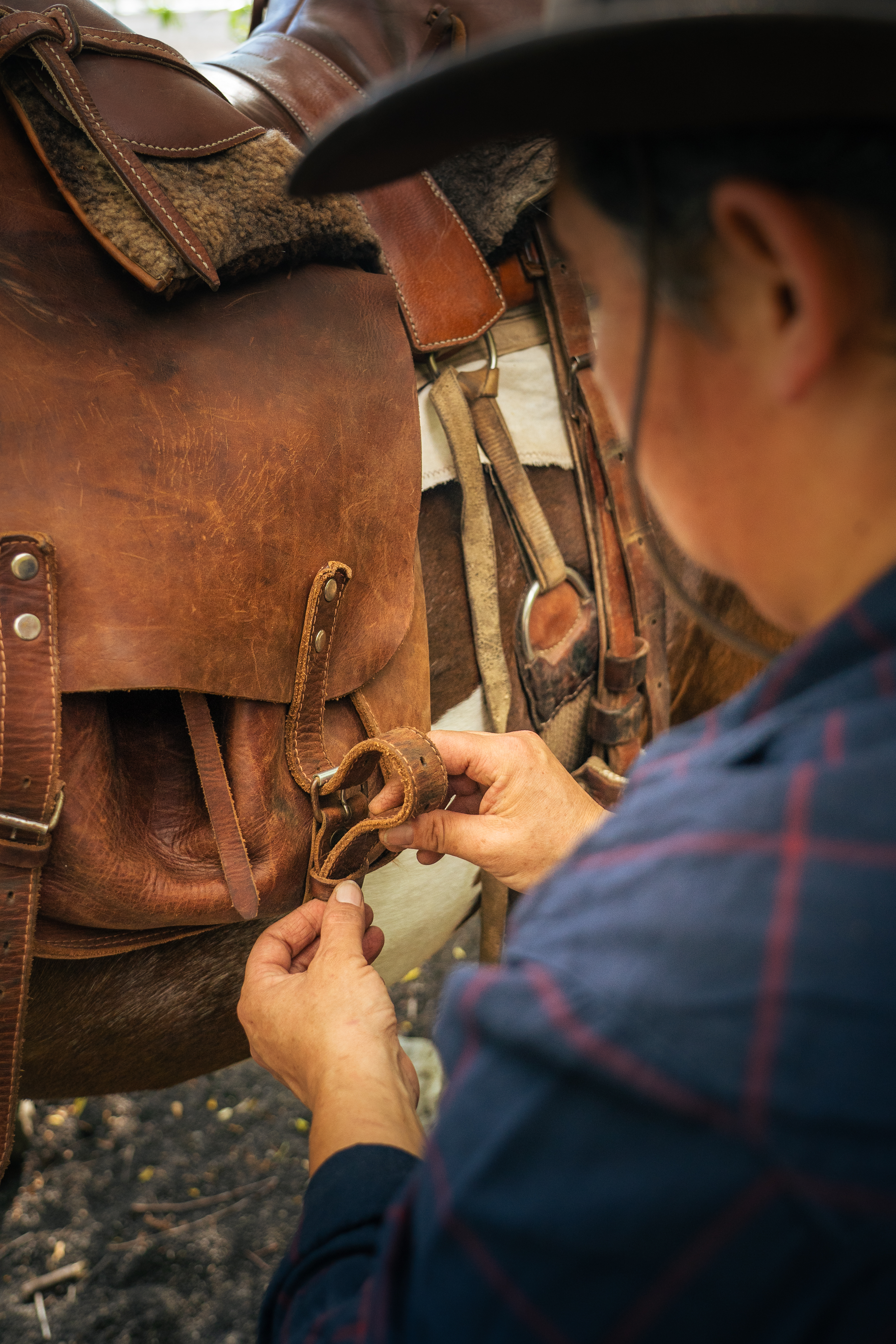 9-, 10- of 11-daagse paardrijtocht: De Andes oversteken - Chili naar Argentinië - Afbeelding 18