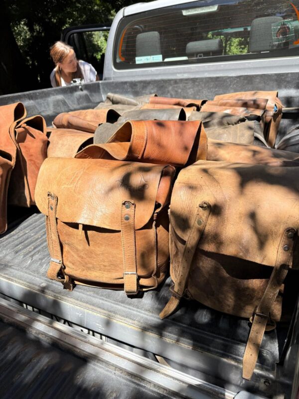 4-daagse paardrijtocht in Nationaal Park Villarrica - Chili