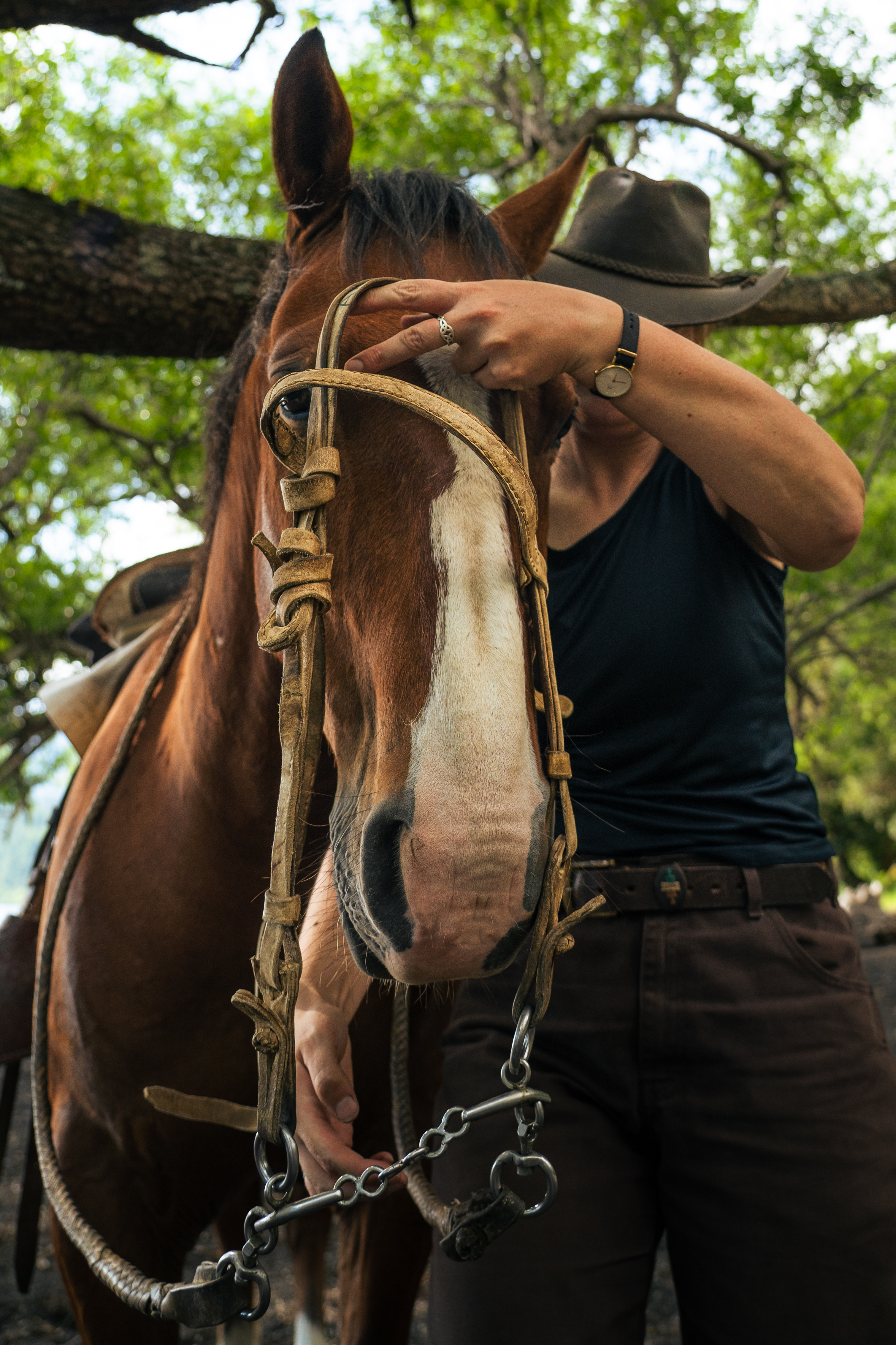 4-daagse paardrijtocht in Huerquehue National Park - Chili - Afbeelding 12