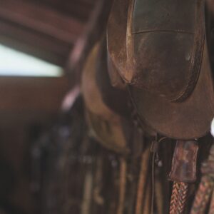 8-daagse paardrijtocht door Villarrica en Huerquehue National Park - Chili - Afbeelding 30