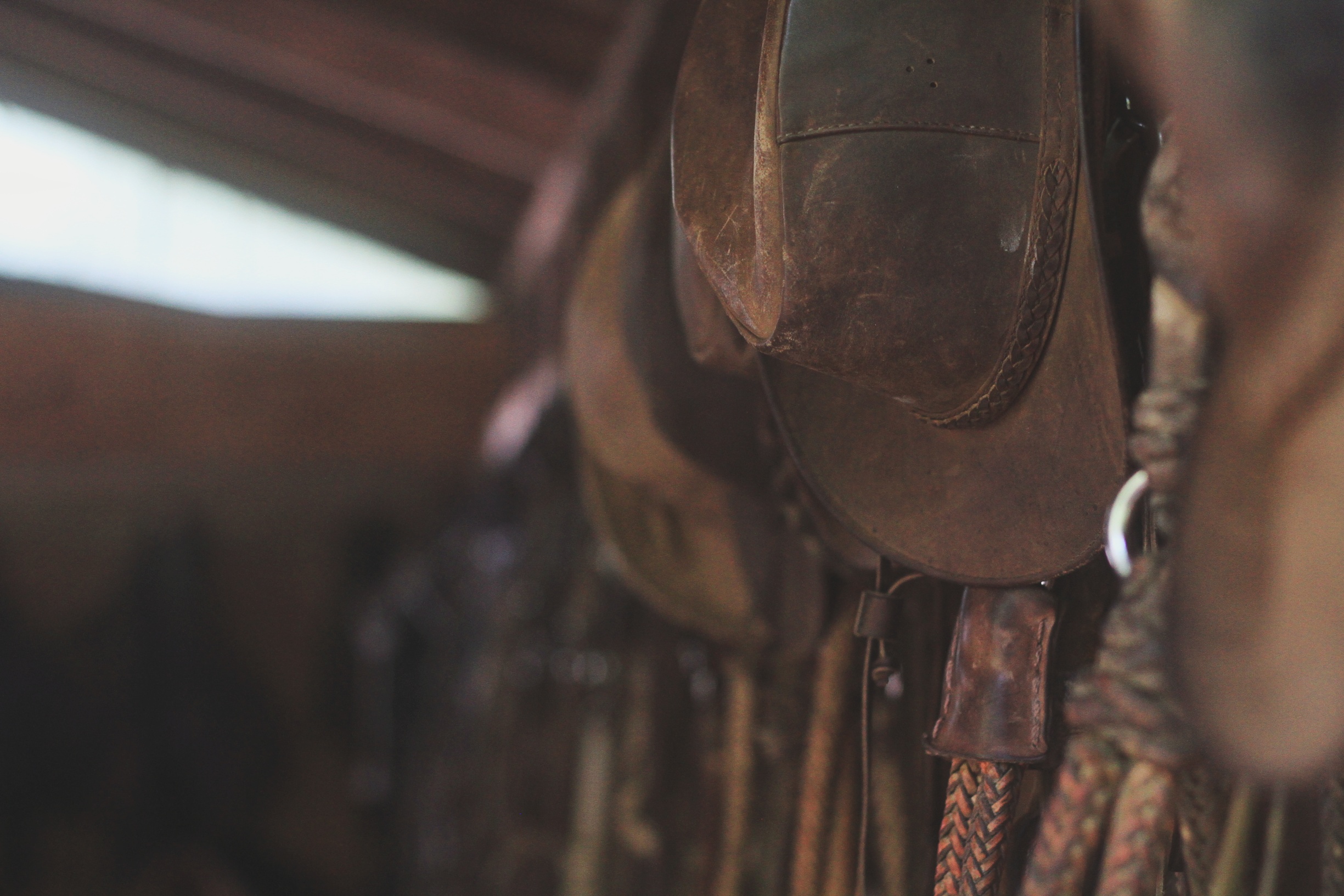 8-daagse paardrijtocht door Villarrica en Huerquehue National Park - Chili - Afbeelding 30