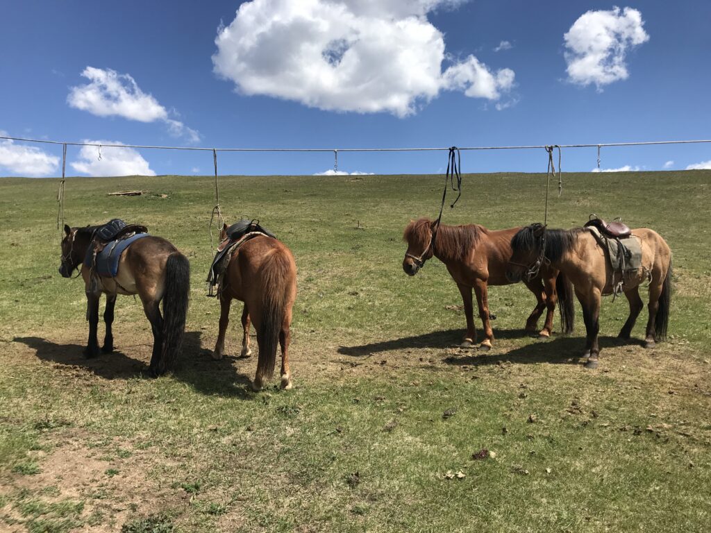 7-daagse Paardrijtocht Khagiin Khar Lake - Mongolië