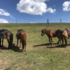 7-daagse Paardrijtocht Khagiin Khar Lake - Mongolië - Afbeelding 2