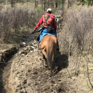 7-daagse Paardrijtocht Khagiin Khar Lake - Mongolië - Afbeelding 5