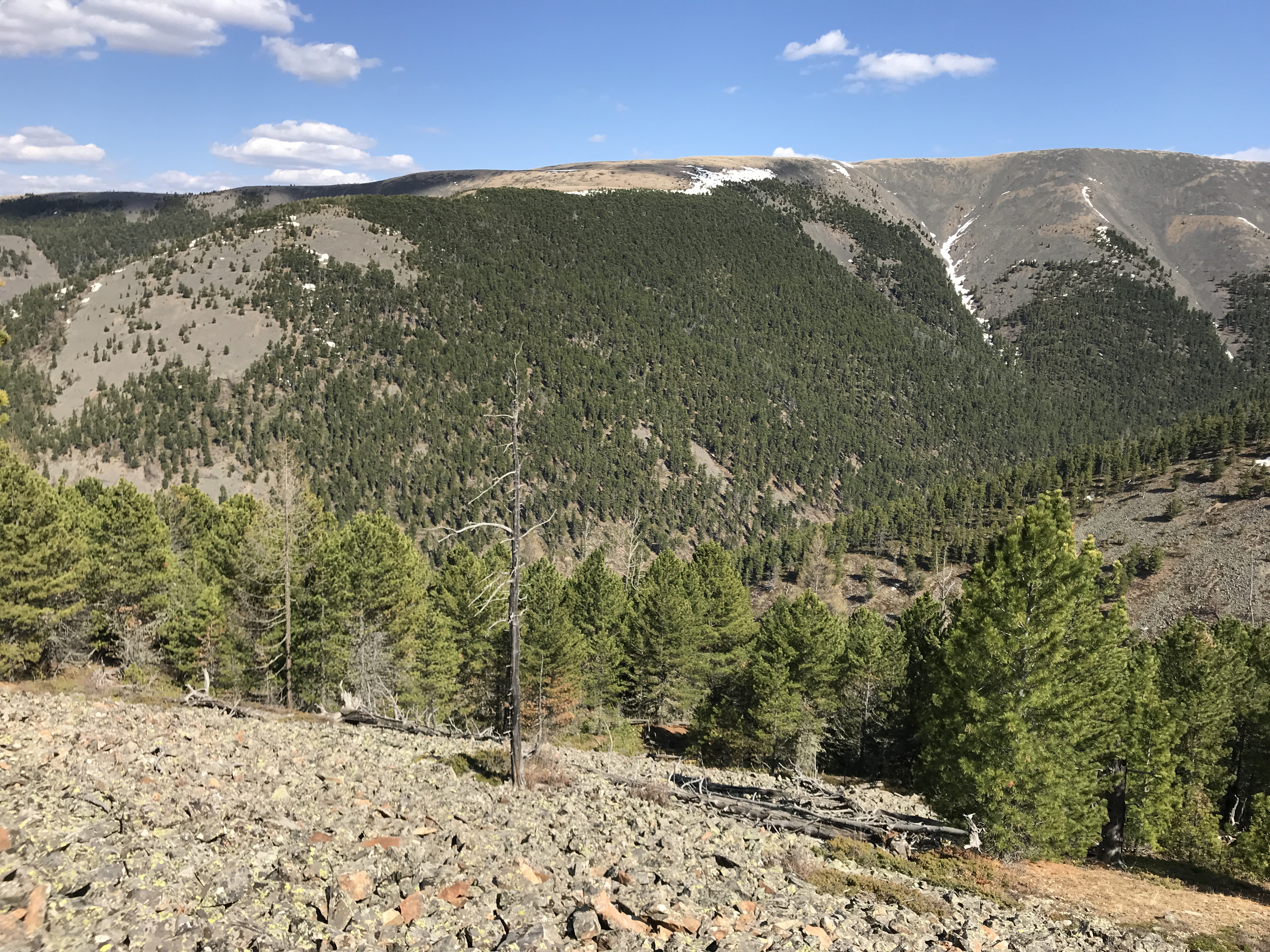 7-daagse Paardrijtocht Khagiin Khar Lake - Mongolië - Afbeelding 24