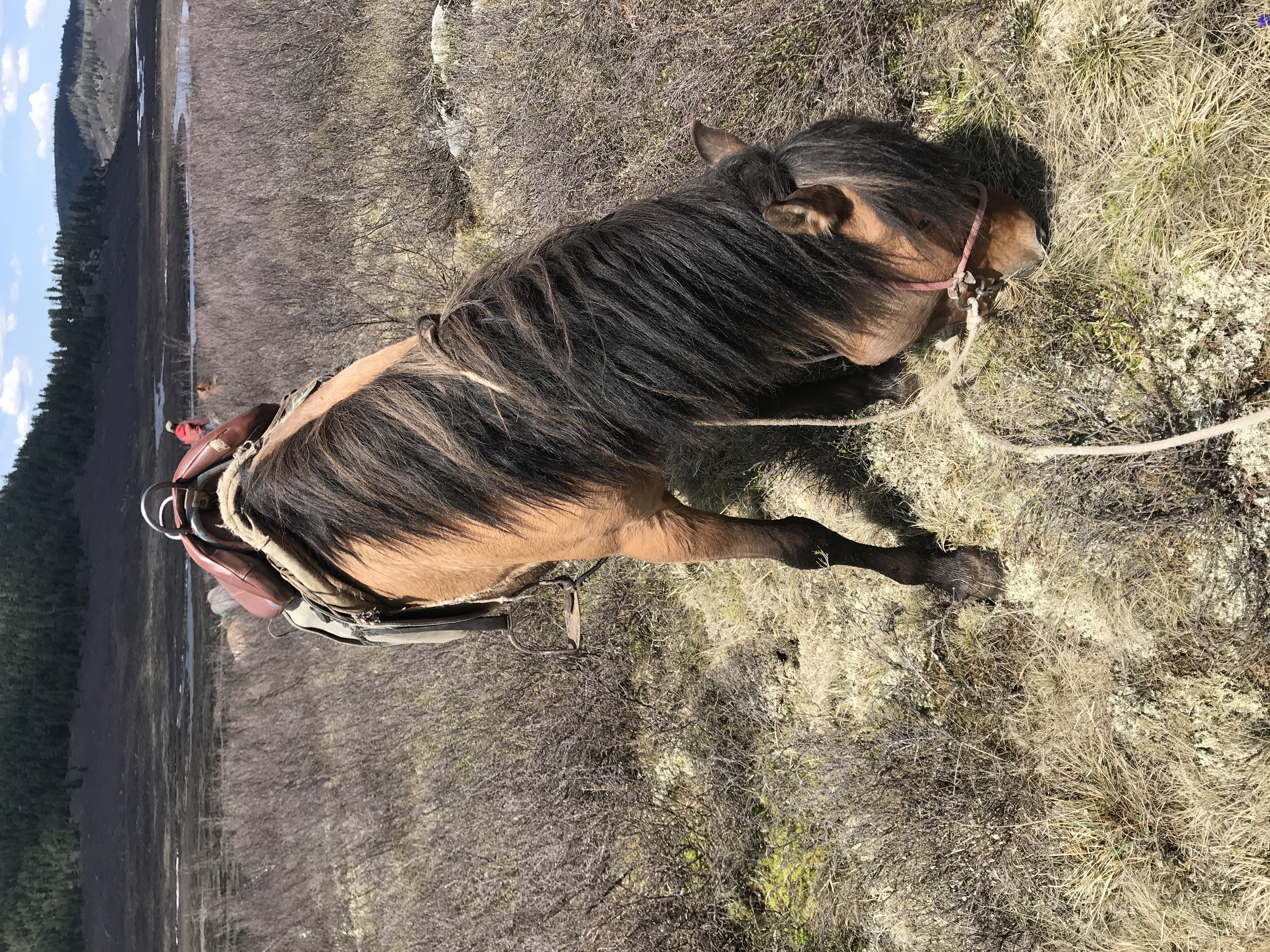 7-daagse Paardrijtocht Khagiin Khar Lake - Mongolië - Afbeelding 25