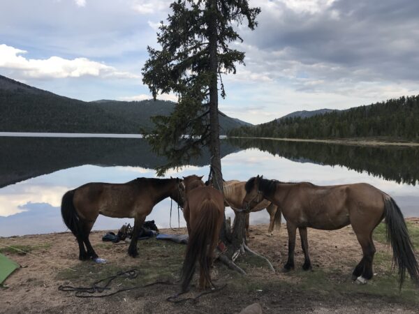 7-daagse Paardrijtocht Khagiin Khar Lake - Mongolië