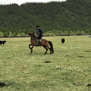 7-daagse Paardrijtocht Khagiin Khar Lake - Mongolië - Afbeelding 11