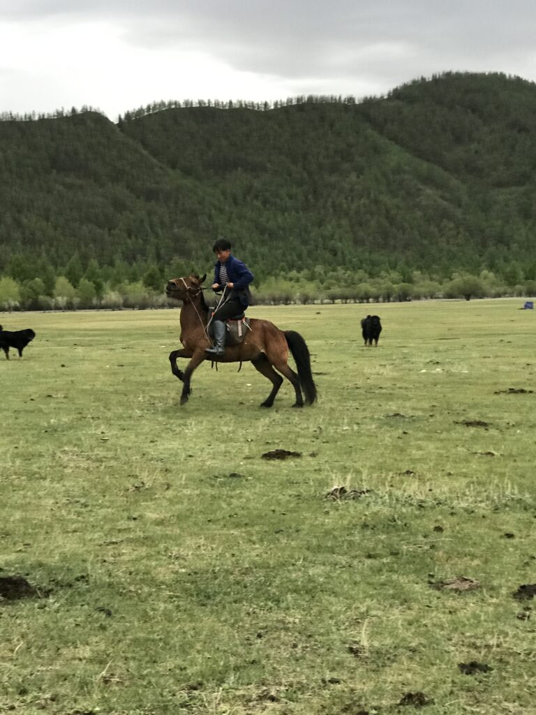 7-daagse Paardrijtocht Khagiin Khar Lake - Mongolië